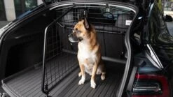 Hundetrenngitter Für Das Tesla Model Y -Shop4tesla Store hundetrenngitter fur das tesla model y 556285jpg 17367